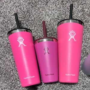 Hydro Flask Pink and Purple Tumbler Trio
